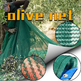 Net oliwek (3)