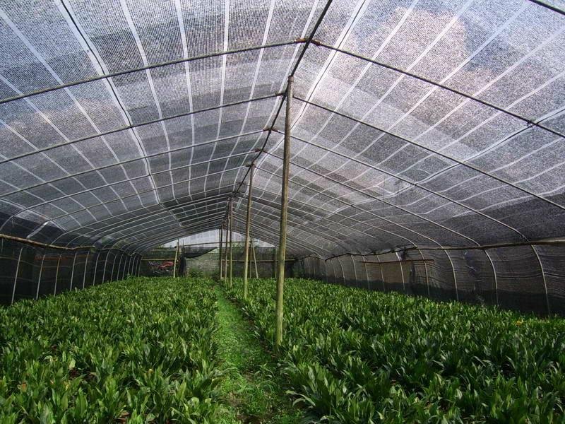 Shade Net Manufacturer Help You Buy High Quality At Low Price