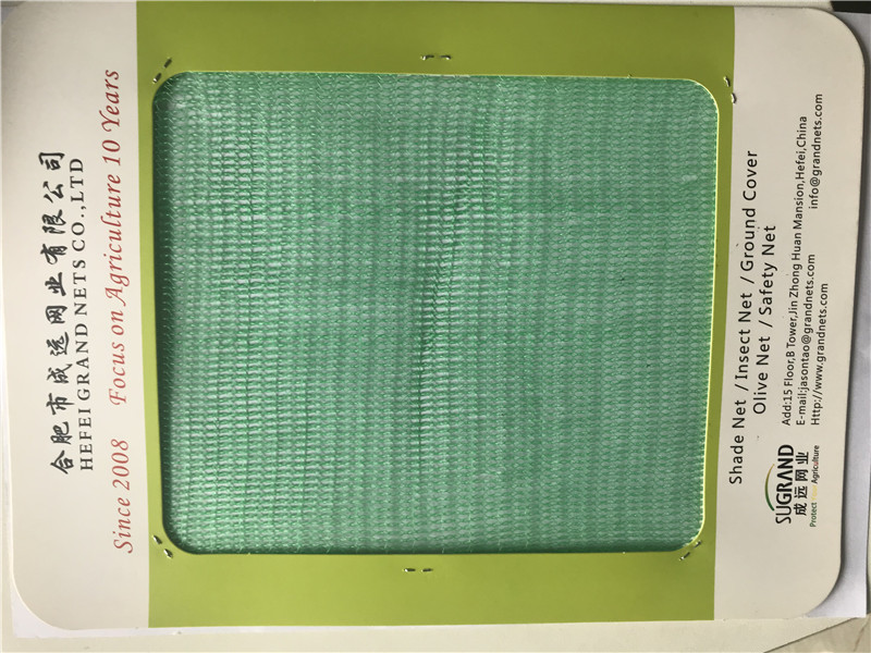 HDPE Green 930GSM Construction Protection Scaffolding Net Manufacturers