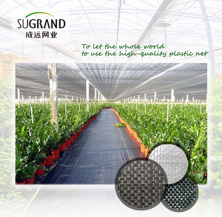 Advantages of Ground Cover Membrane in Planting