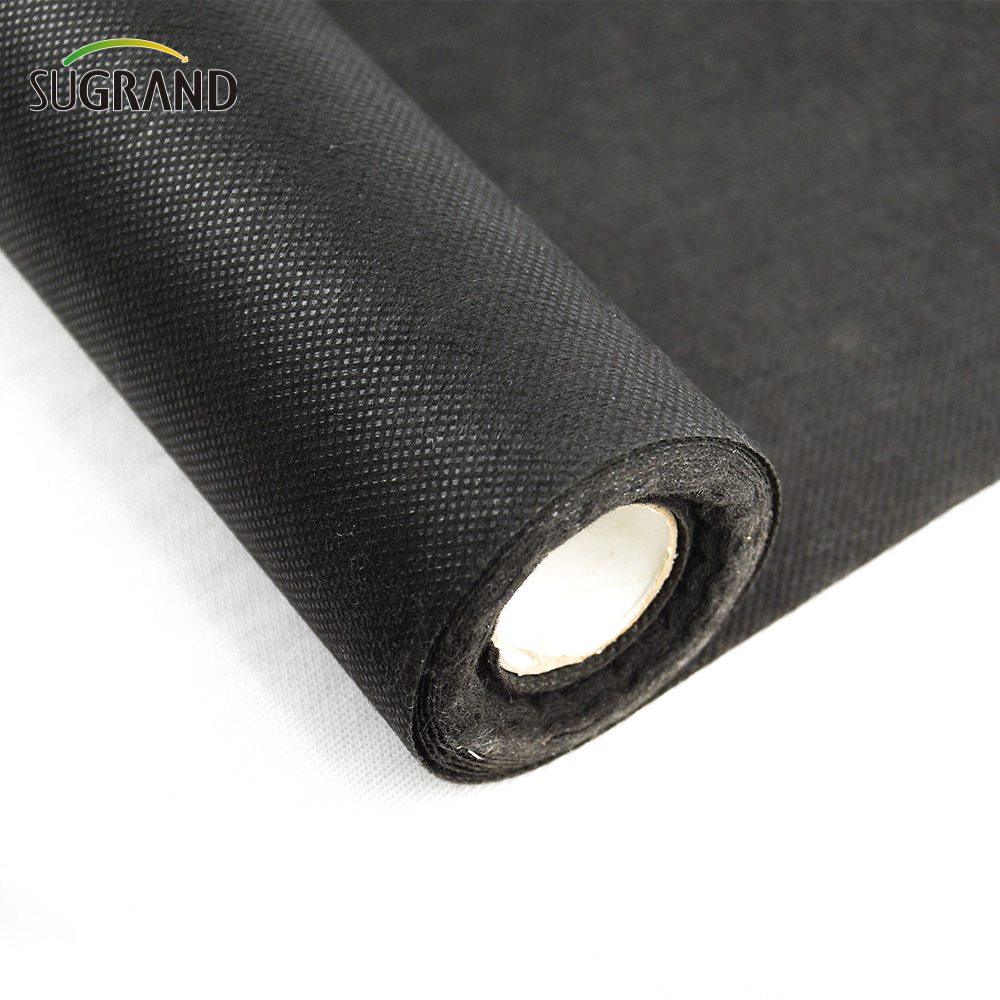 Factory Price Bio Regradable Non Woven Fabric Black 50gsm Non Woven Fabric
