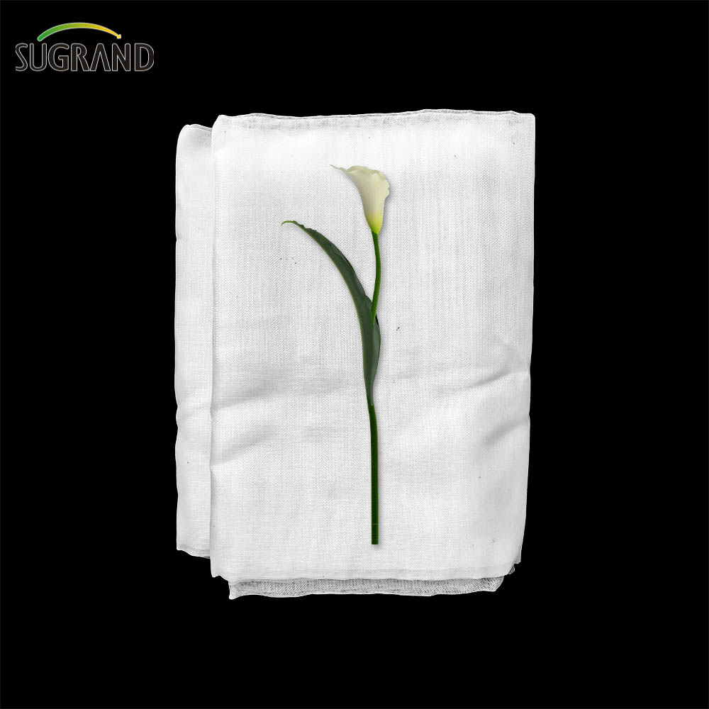 80GSM White Greenhouse Anti Insect Net to Malaysia