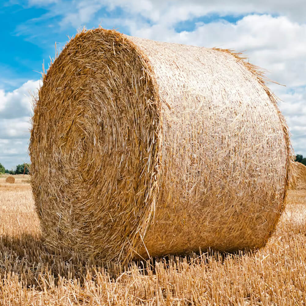 Bale Net Wholesale