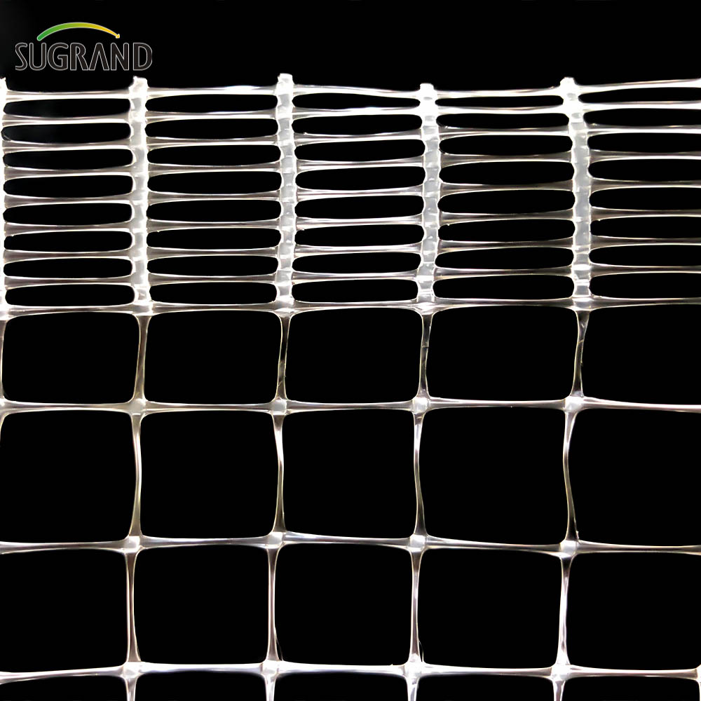 White 8*8mm Extruded Anti-bird Net for Fruits Bird Netting Suppliers