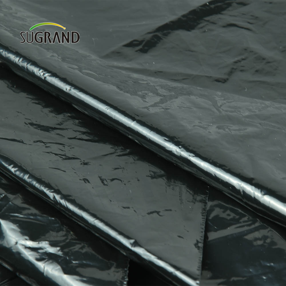 Cheap Factory Price Black Plastic Mulch Biodegradable Uv Mulch Film for Agricultural