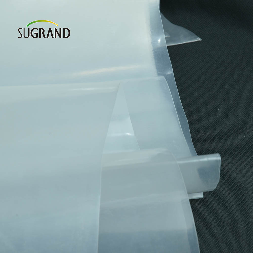 Factory Transparent Greenhouse Plastic 190mic Greenhouse Film for Garden Seedlings