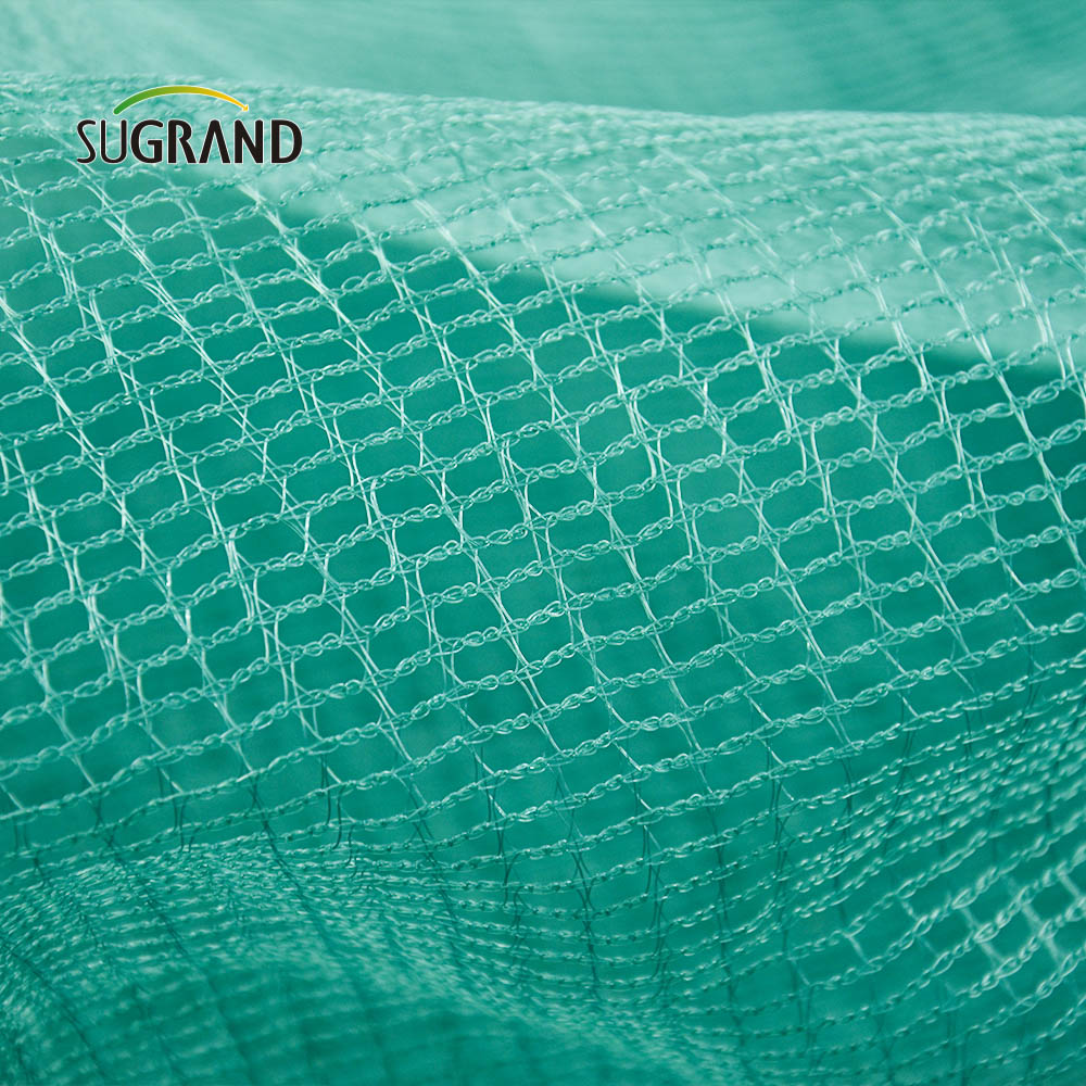 5X10m Olive Collection Net For Fruit Harvest Olive Net in Italy