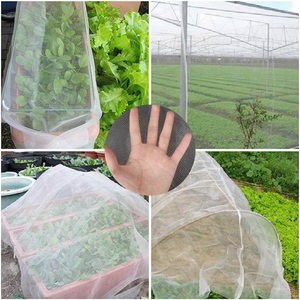 80GSM White Greenhouse Anti Insect Net to Malaysia