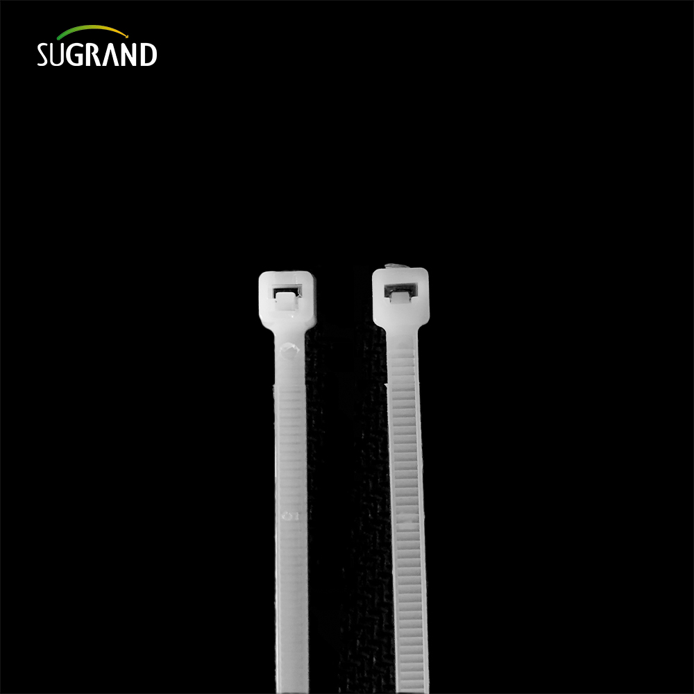 Black White Color Nylon Cable Ties Plastic Zip Ties