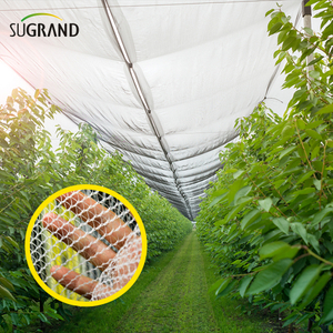Factory Direct Supply 4mm X 5mm Anti Hail Netting for Vegetable Garden