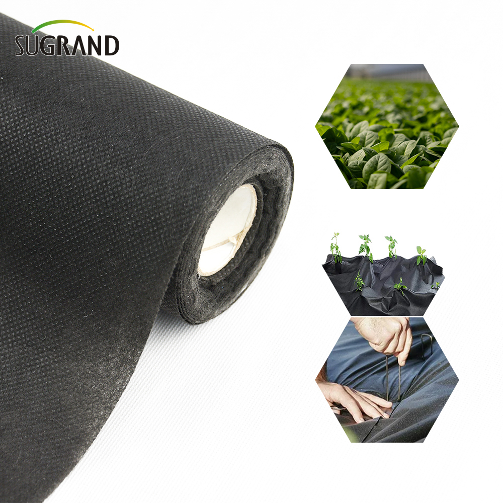 Plant Cover Non Woven Fabric Weed Control Mat 100 Pp Non Woven Fabric