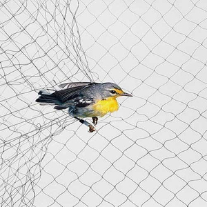 Bird Mist Nets For Catching Birds