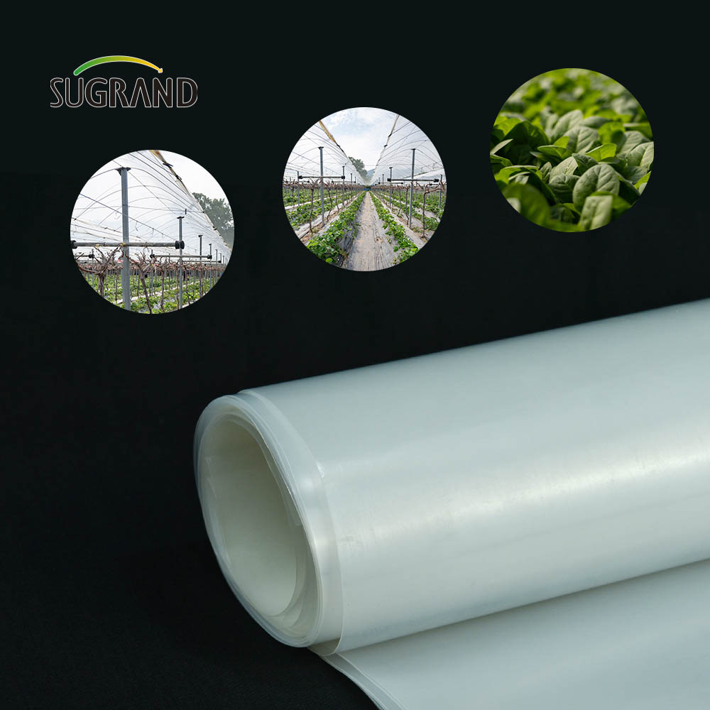 Factory Transparent Greenhouse Plastic 190mic Greenhouse Film for Garden Seedlings