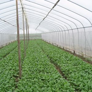 Cheap Wholesale High Quality Hot Sell Agriculture Greenhouse Anti Insect Net