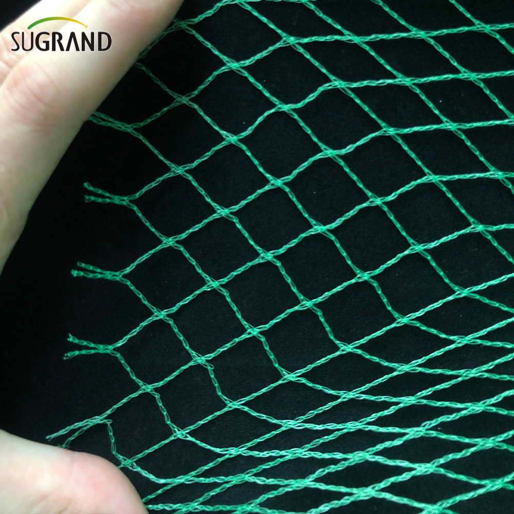 Argentine Market Green Bird Protection Net Nylon Mist Bird Nets