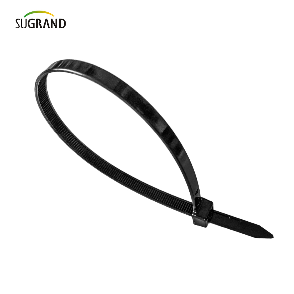 Black White Color Nylon Cable Ties Plastic Zip Ties