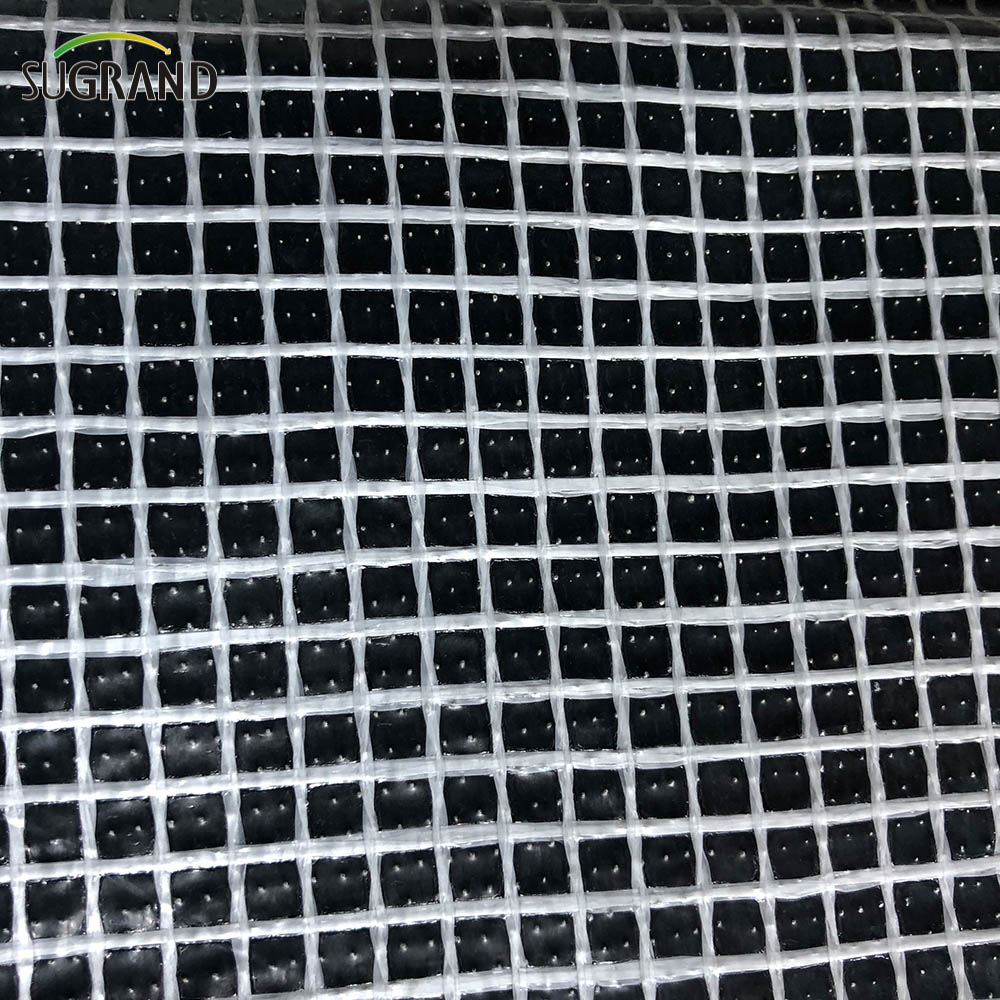 White PVC Fireproof Mesh Sheet Scaffolding Mesh PE Tarpaulin